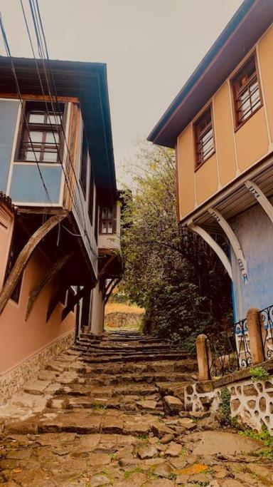 Elephant House Plovdiv Exteriör bild